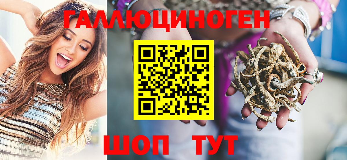 Псилоцибиновые грибы прущие грибы Кызыл